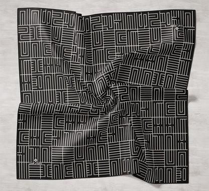 Silkhome Twill Silk Scarf 11390-01